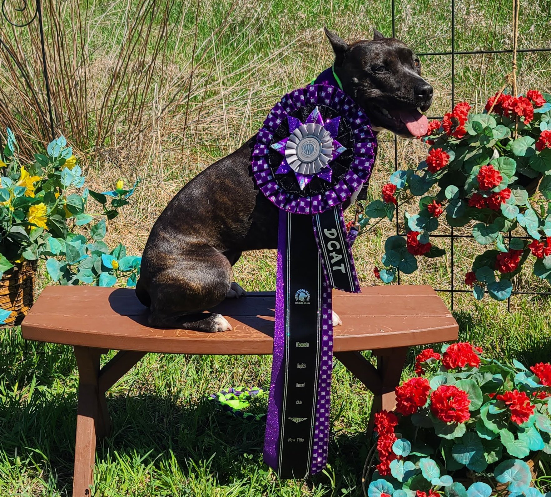 Ellie celebrating championship